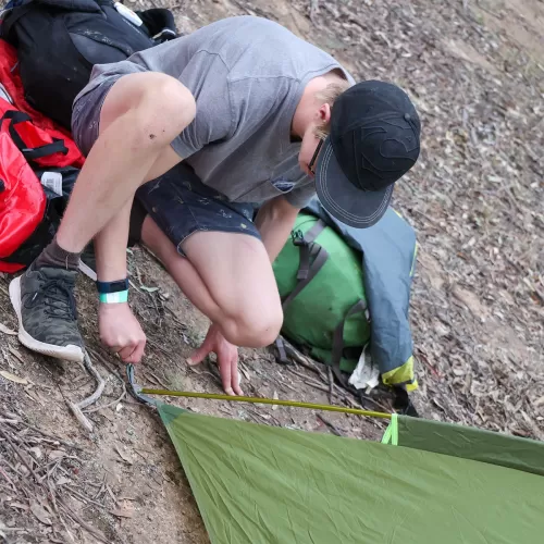 pegging a tent