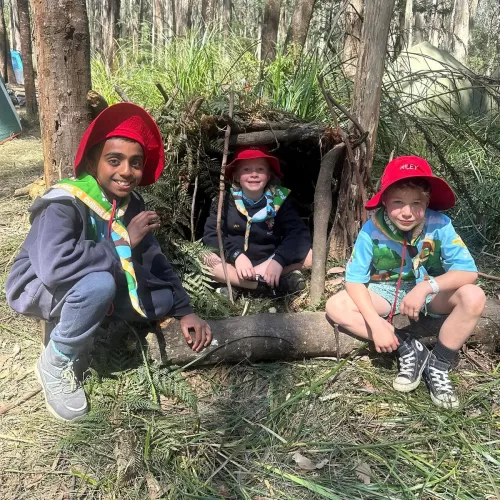 Scouts in Survival Shelter