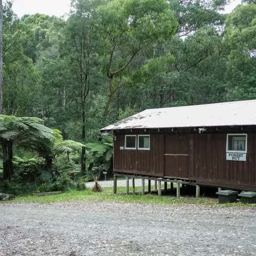 Forest Hut Navigation Centre