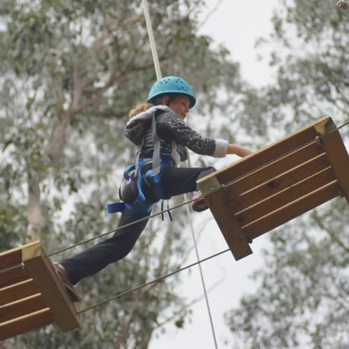 High Ropes Bridge