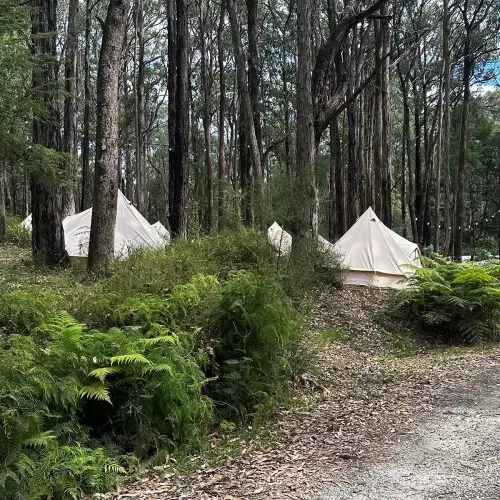 Bell Tents for Glamping at Gilwell park